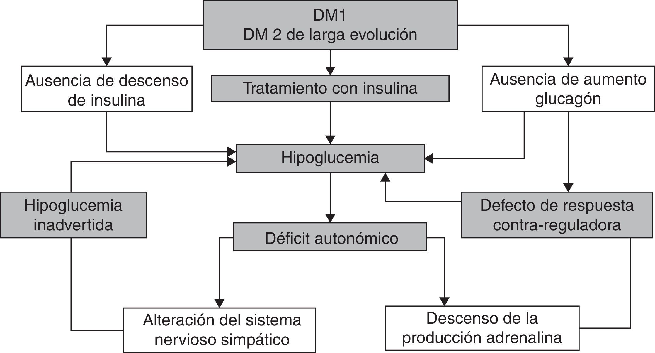 Documento de posicionamiento: evaluación y manejo de la hipoglucemia en ...